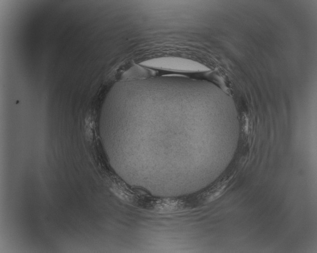 X0000075330235200610061636