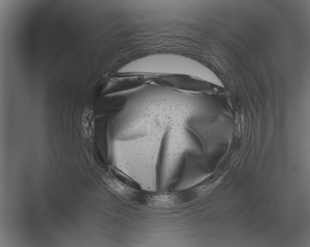 X0000075330237200610061636