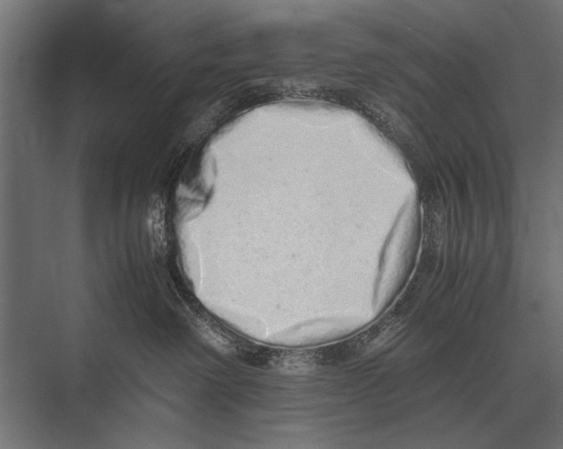 X0000075330238200610061636