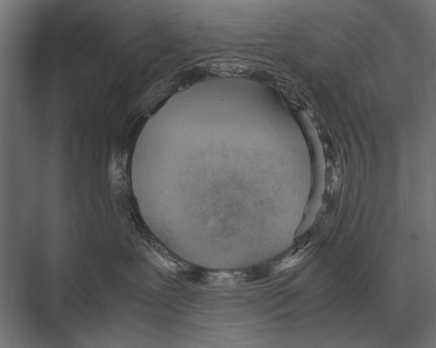 X0000075330239200610061636