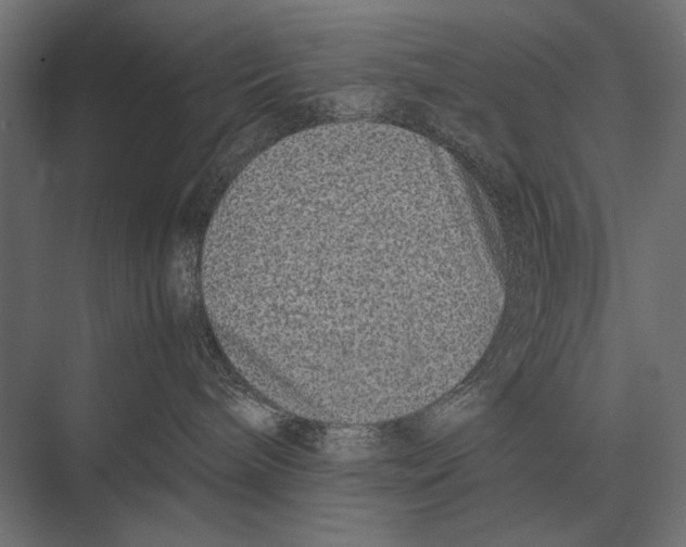 X0000075330240200610061636