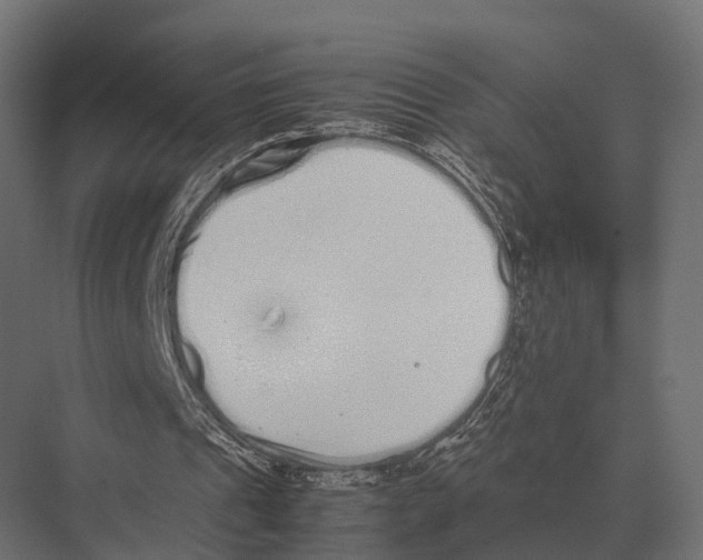 X0000075330241200610061635