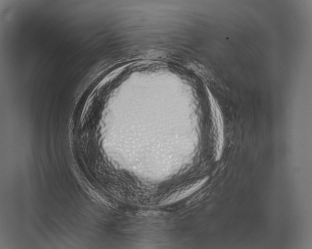 X0000075330242200610061635