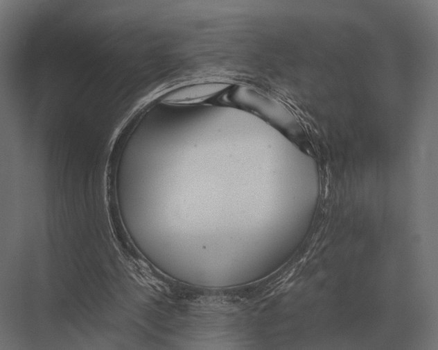 X0000075330244200610061635