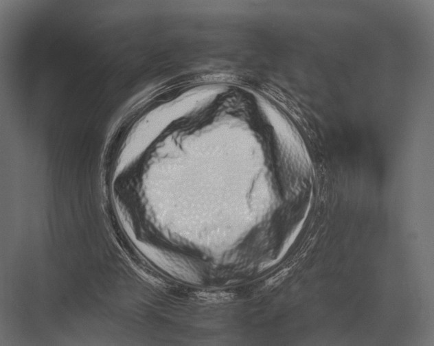 X0000075330245200610061635