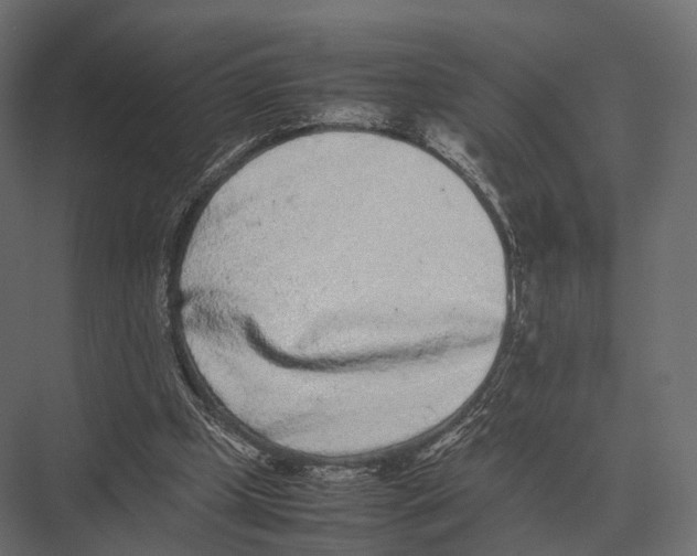 X0000075330249200610061635