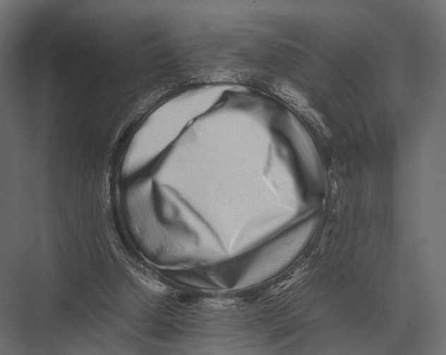 X0000075330250200610061635