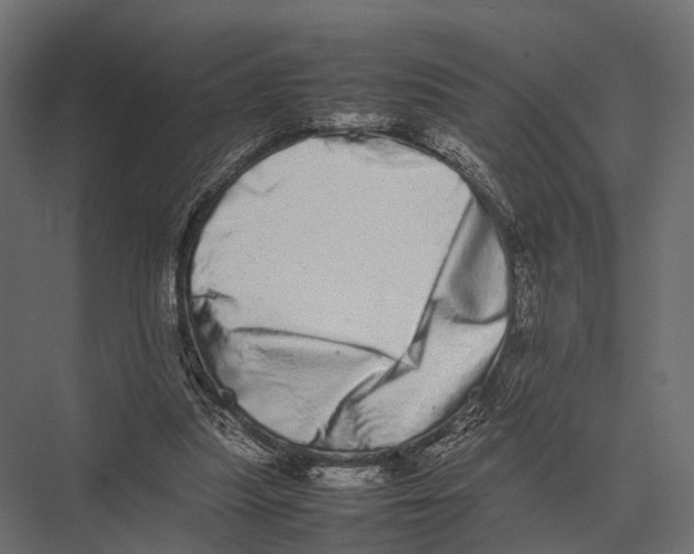 X0000075330251200610061635