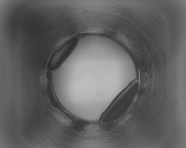 X0000075330252200610061635