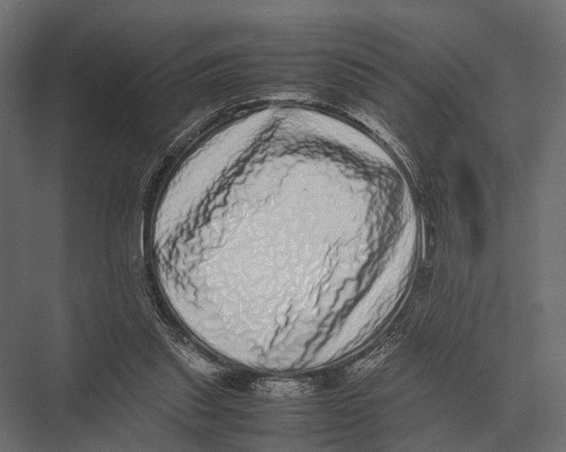 X0000075330253200610061635