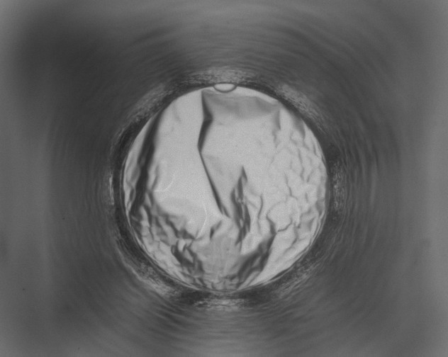 X0000075330254200610061635