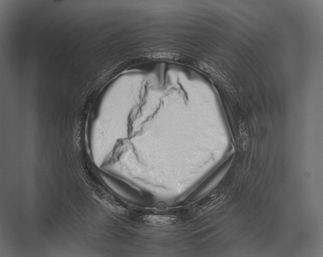 X0000075330255200610061636