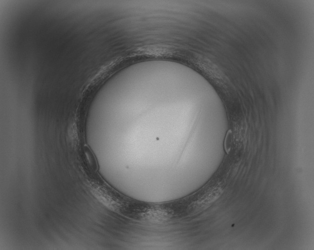 X0000075330256200610061636