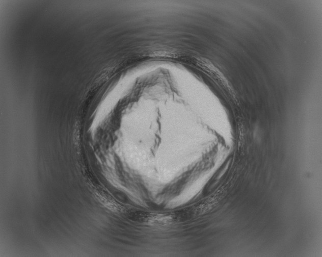 X0000075330257200610061636