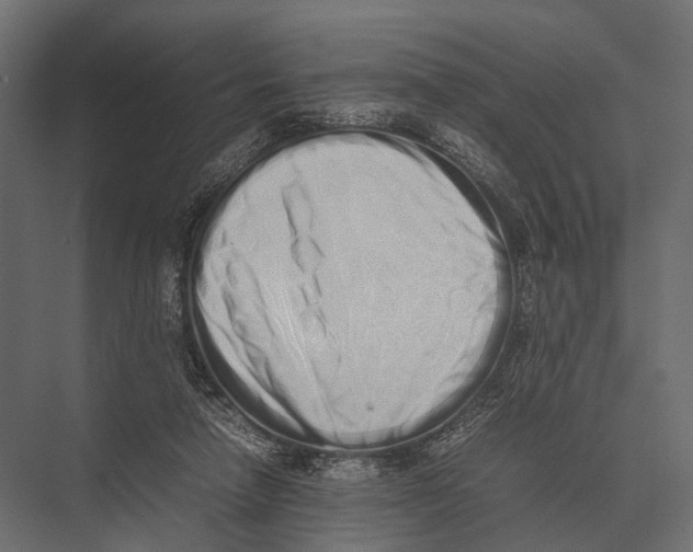 X0000075330258200610061636