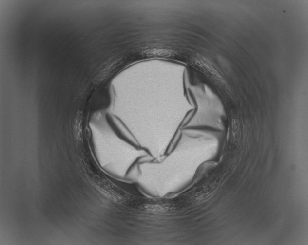 X0000075330259200610061636