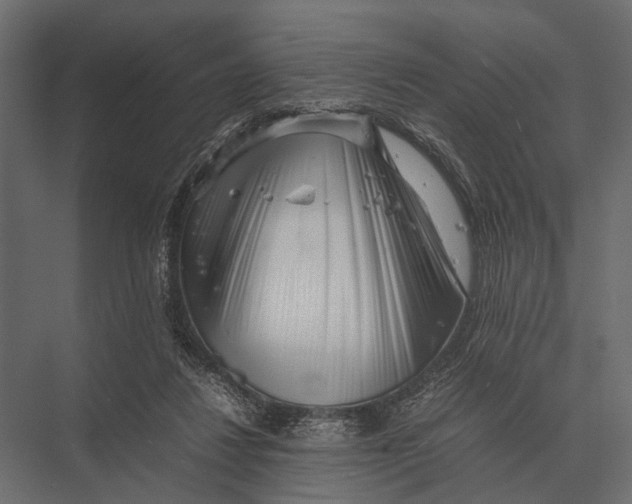 X0000075330260200610061636