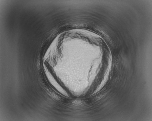 X0000075330261200610061636