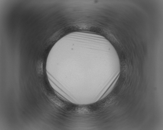 X0000075330262200610061636