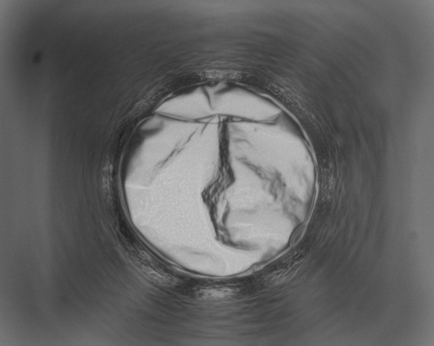 X0000075330263200610061636