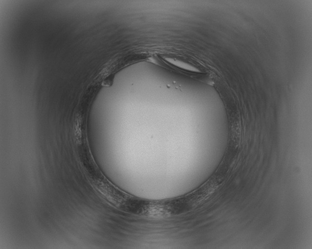 X0000075330264200610061636