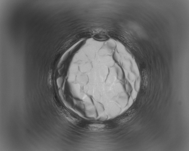 X0000075330266200610061636