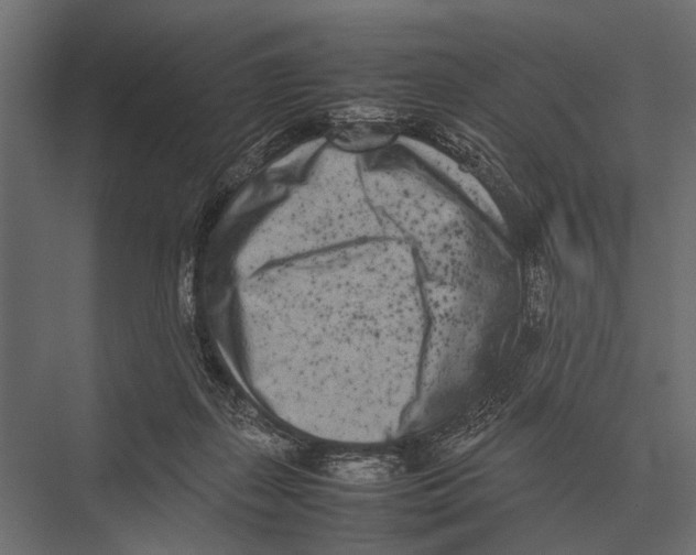 X0000075330267200610061636