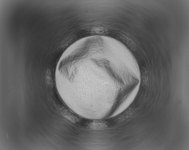 X0000075330270200610061636