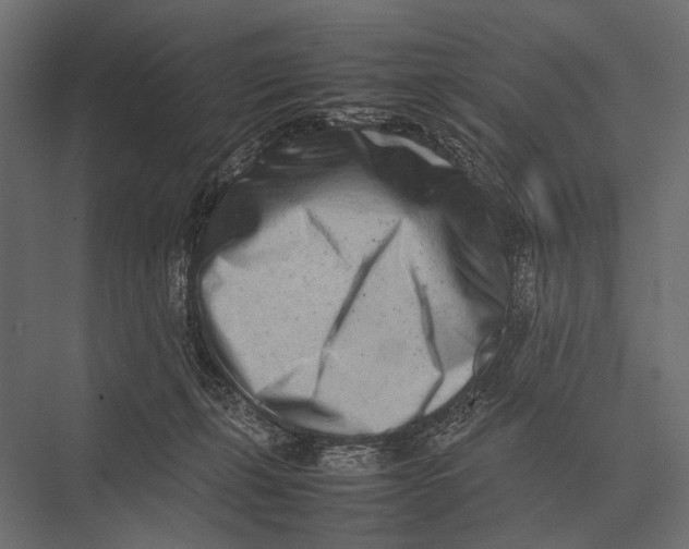 X0000075330271200610061636