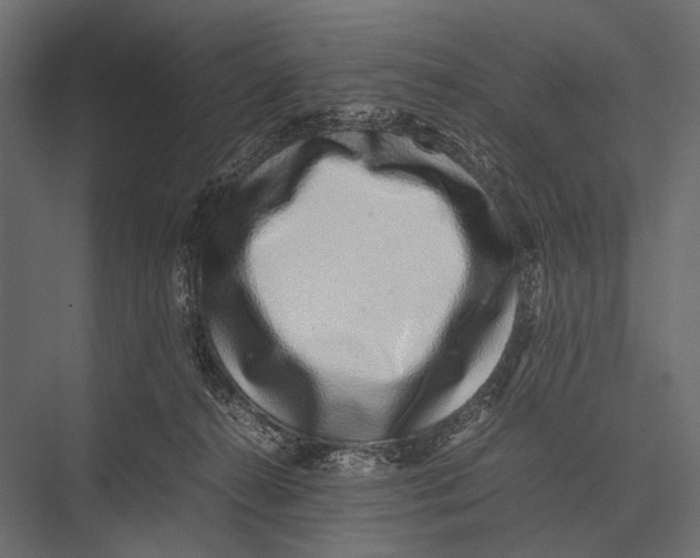 X0000075330272200610061636