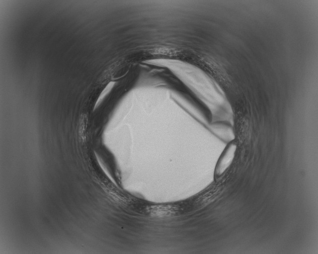 X0000075330273200610061636