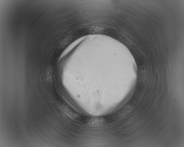 X0000075330274200610061636