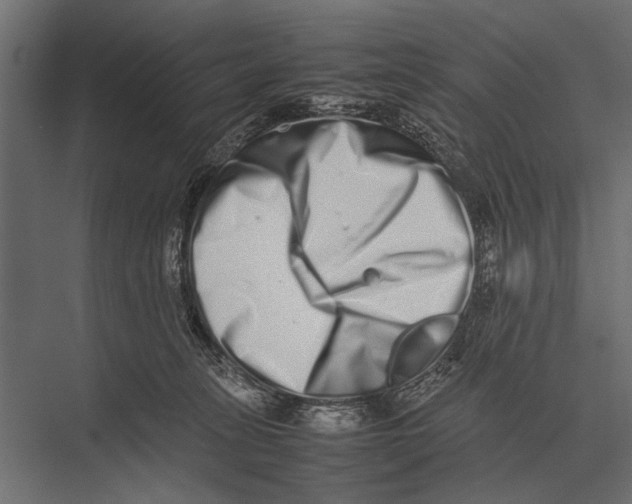 X0000075330275200610061636