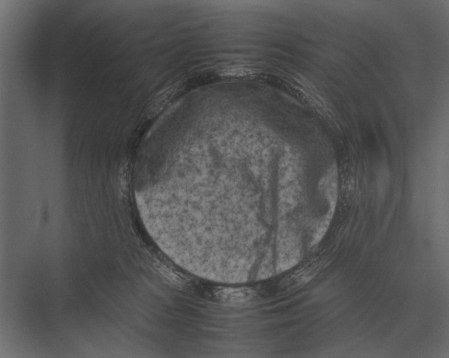 X0000075330277200610061636