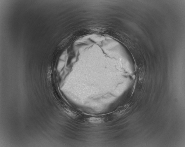 X0000075330279200610061636