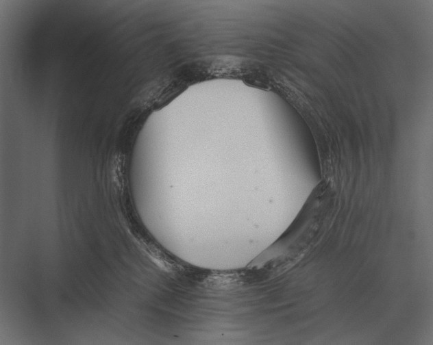 X0000075330280200610061636