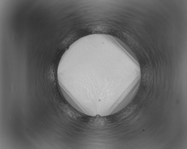 X0000075330282200610061636