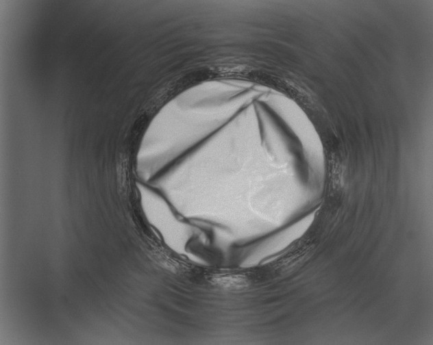 X0000075330283200610061636