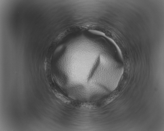 X0000075330284200610061636