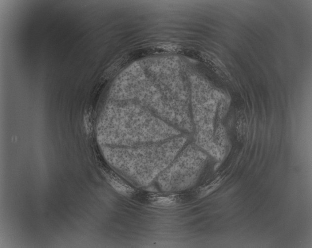 X0000075330285200610061636