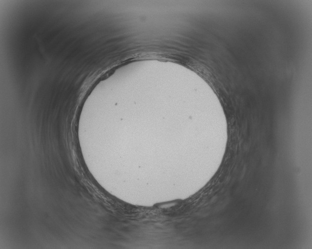 X0000075330289200610061635