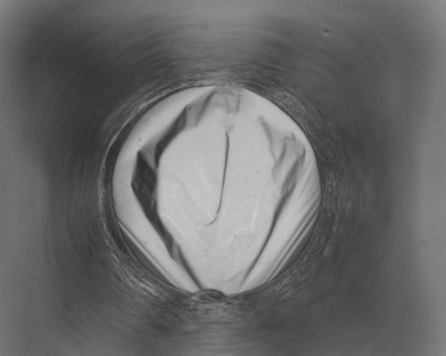 X0000075330290200610061635