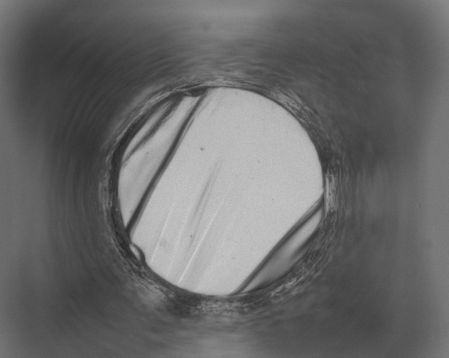 X0000075330291200610061635