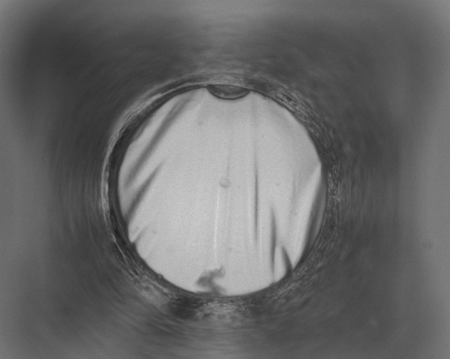 X0000075330294200610061635