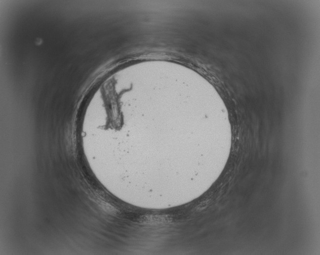 X0000075330296200610061635