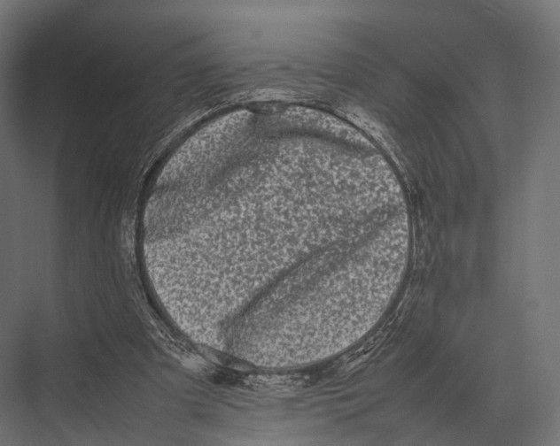 X0000075330297200610061635