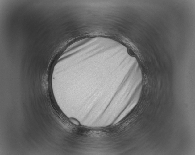 X0000075330298200610061635