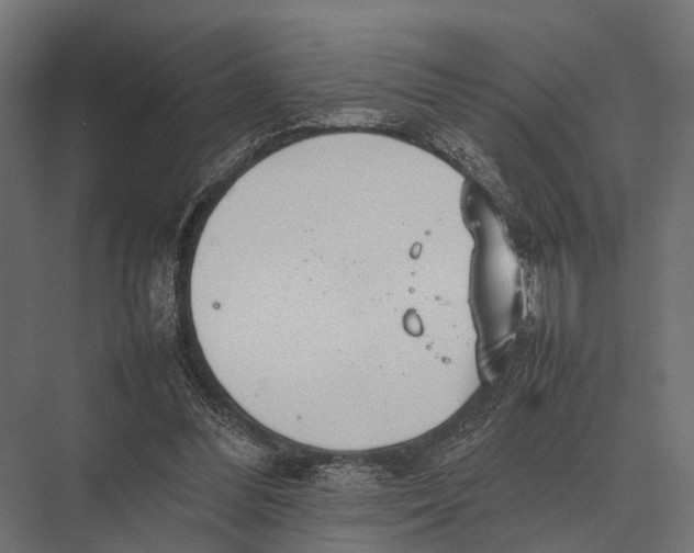 X0000075330300200610061635