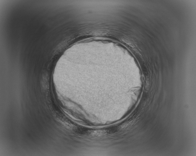 X0000075330303200610061635