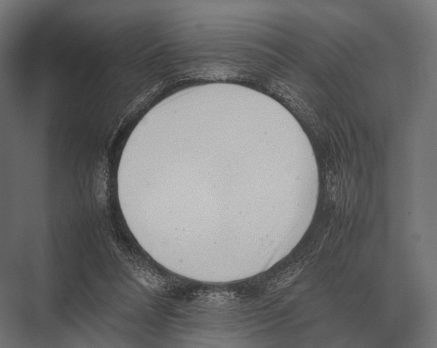 X0000075330304200610061635